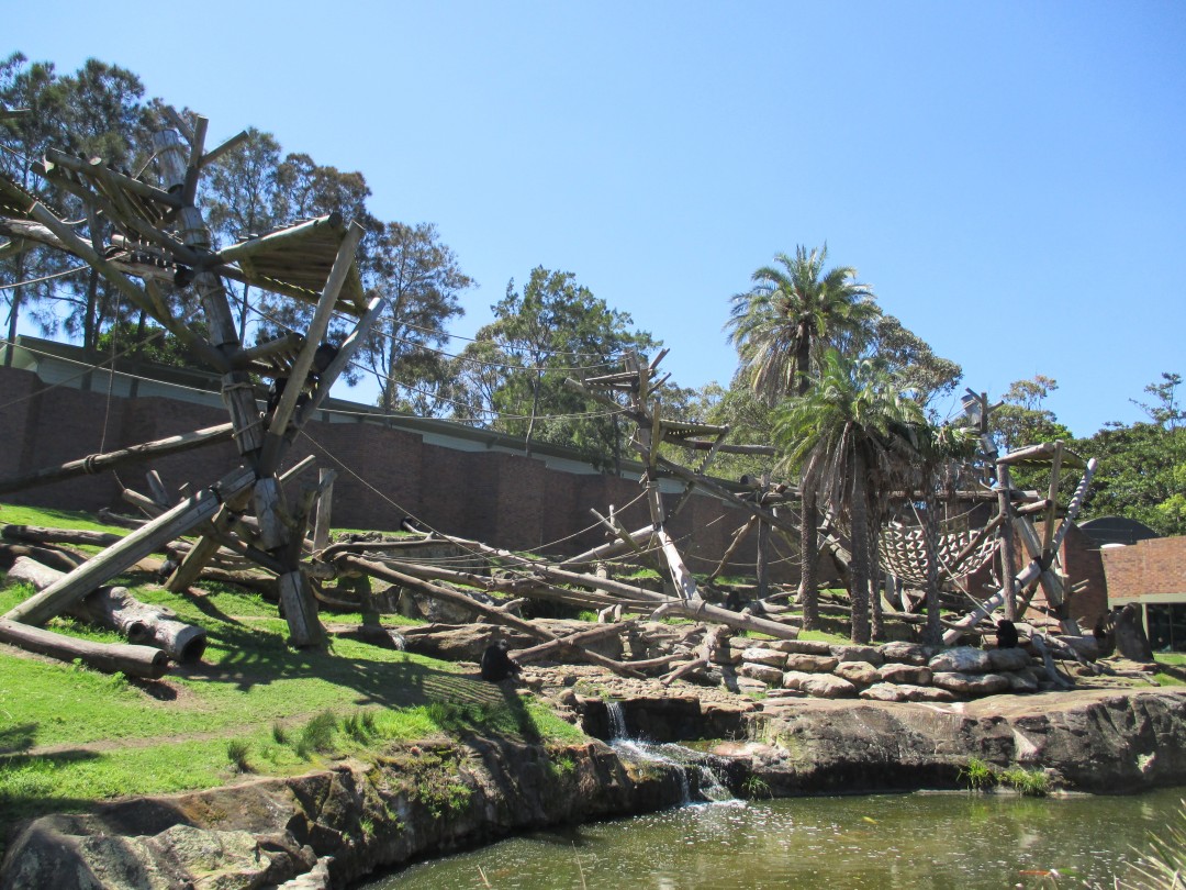 taronga zoo toys