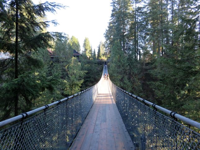 Capilano Suspension Bridge vs Lynn Canyon Park - Magnificent Escape